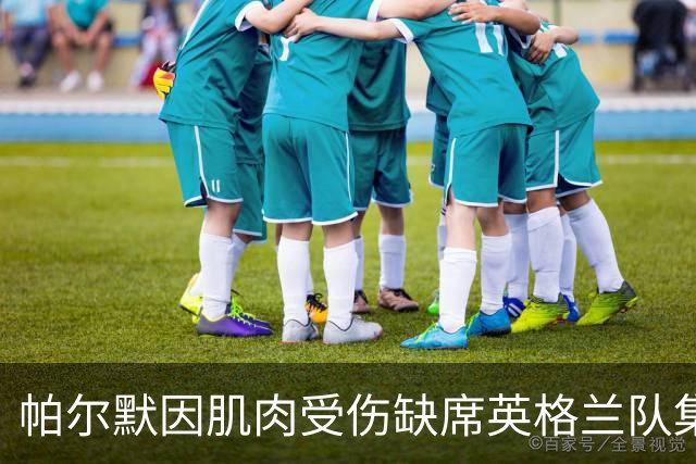 帕尔默因肌肉受伤缺席英格兰队集训
