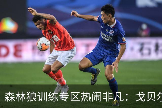 森林狼训练专区热闹非凡：戈贝尔重返球场展现专注与活力
